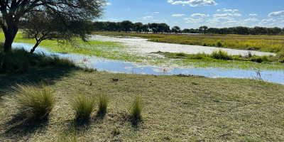 Agua y campo en Ceibas