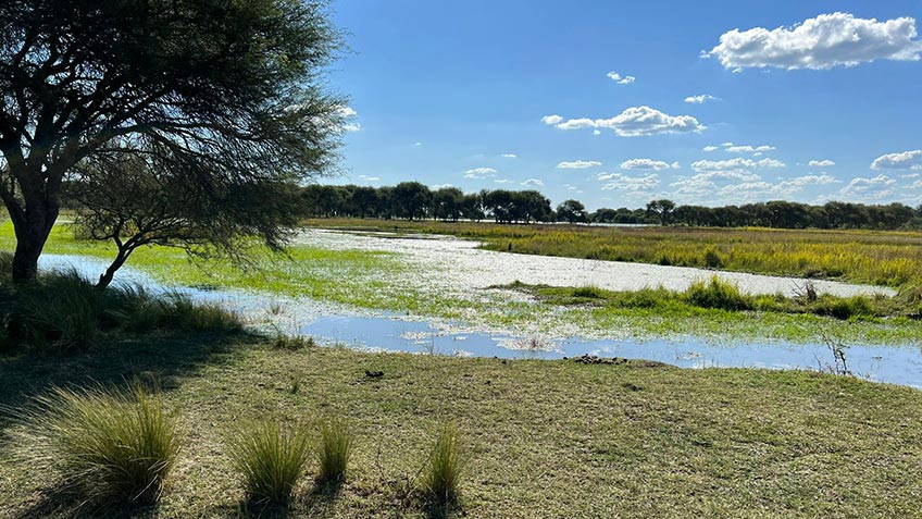 Agua y campo en Ceibas